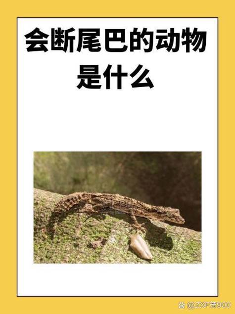 生物破坏怎么关