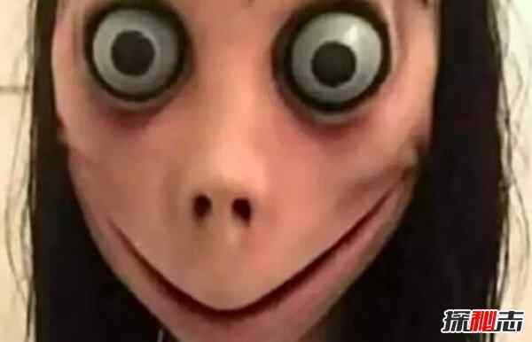蛛网momo