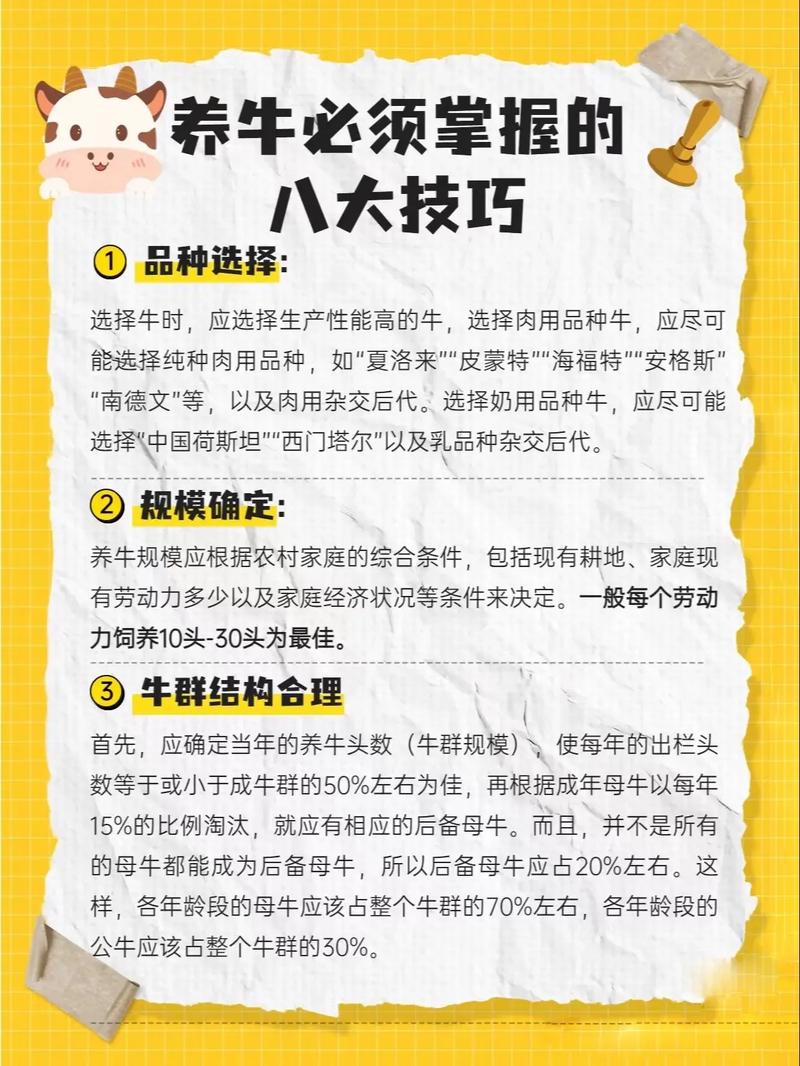 新手养牛需要准备什么