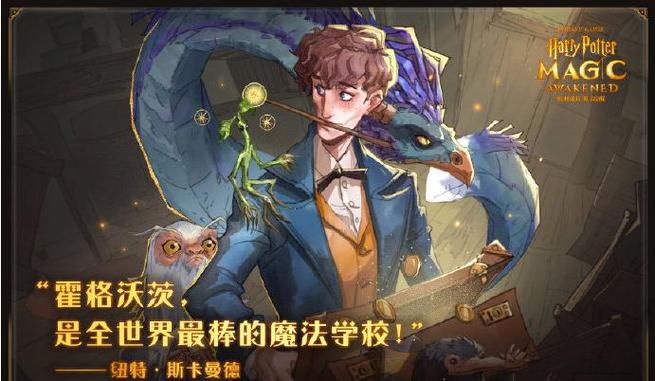 哈利波特魔法觉醒国际版