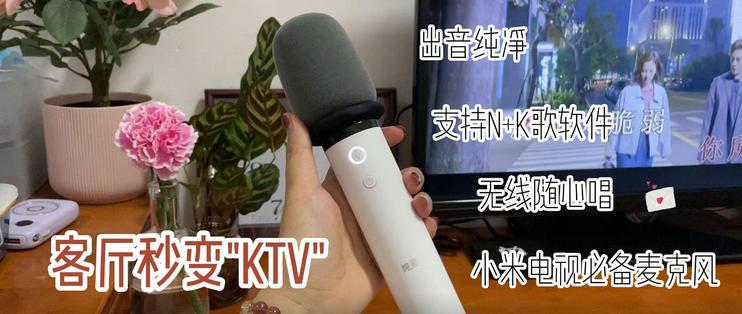 小米电视配什么麦克风好截图2