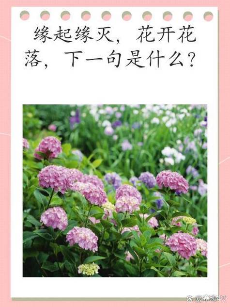 有缘相遇的唯美句子