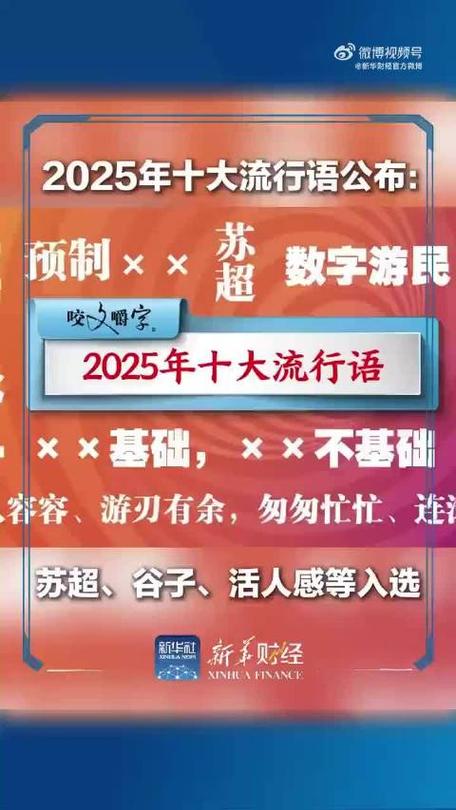 近几年十大流行语