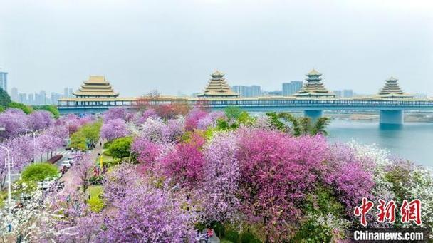 广西柳州什么最出名