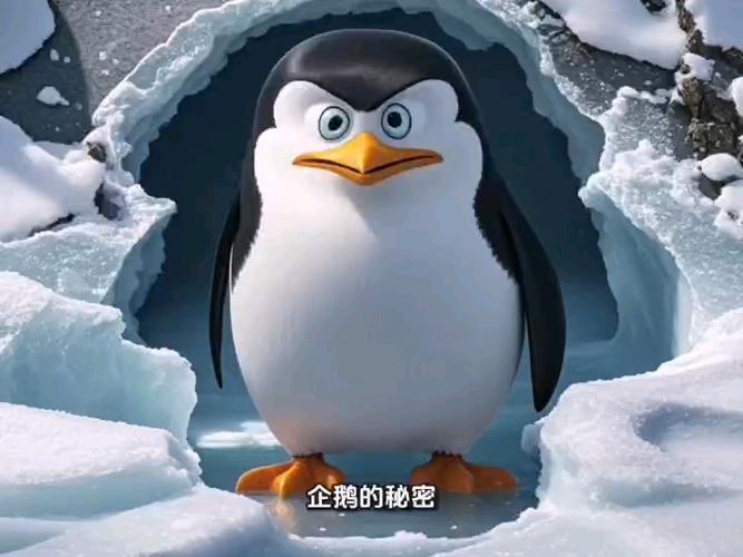 企鹅是站着睡觉吗