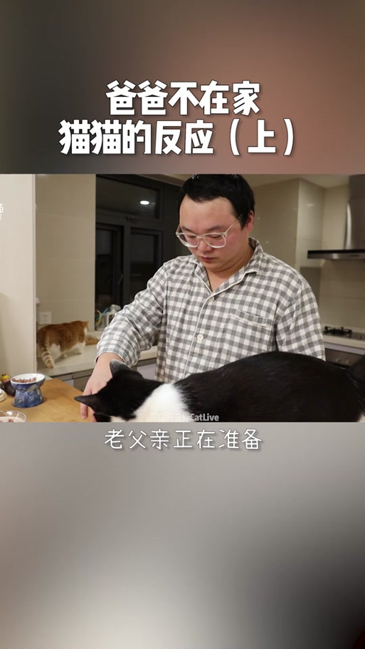 花花与三猫挣了多少钱
