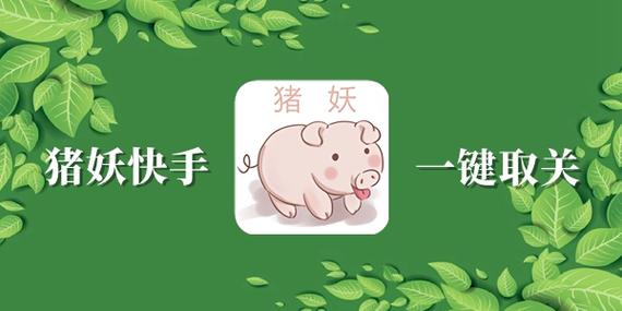 猪妖app一键取关