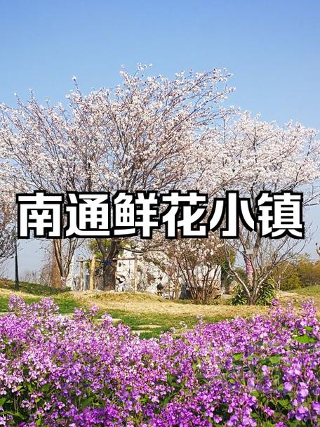 微信鲜花小镇攻略