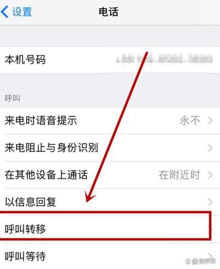 手机号码如何呼叫转移到另一个手机号码上截图3