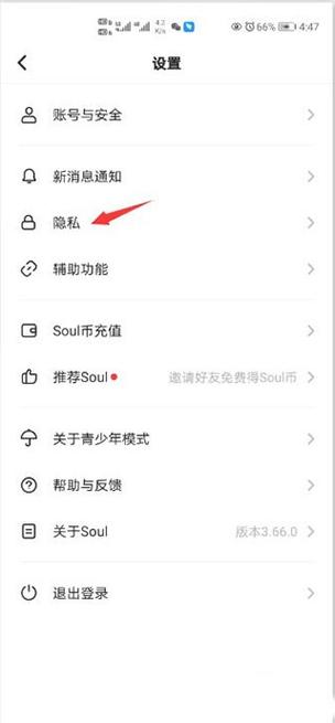 soul隐藏功能