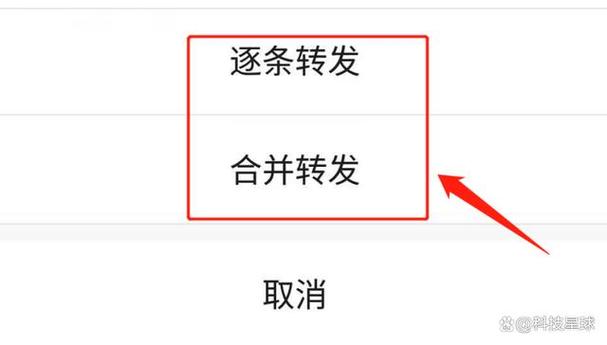 微信按住说话的震动怎么开启