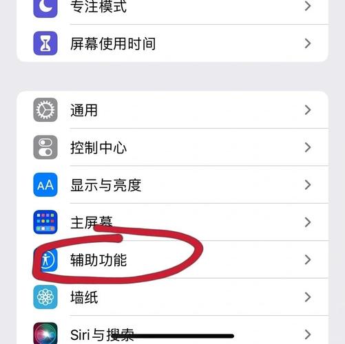 手机触摸在哪里设置