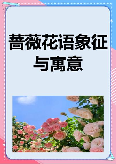 蔷薇花最火的一句