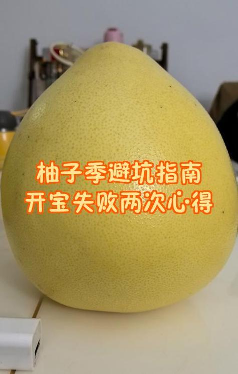 柚子蒸熟吃的害处