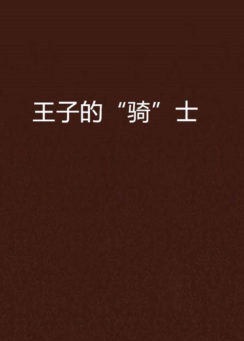王子的骑士小说