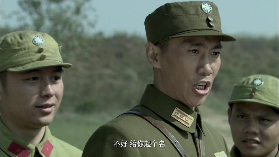 神鹤起飞第八套全集在线观看西瓜截图3