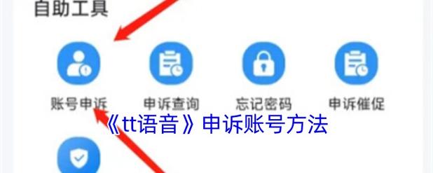 tt语音账号申诉中心