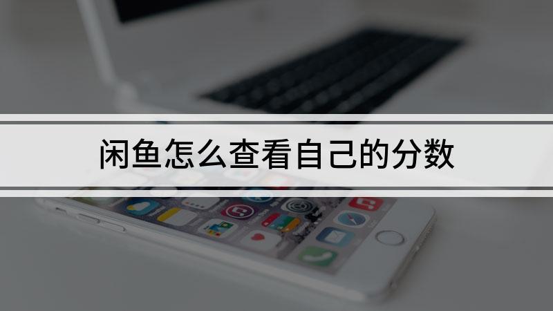 闲鱼哪里可以看到分数