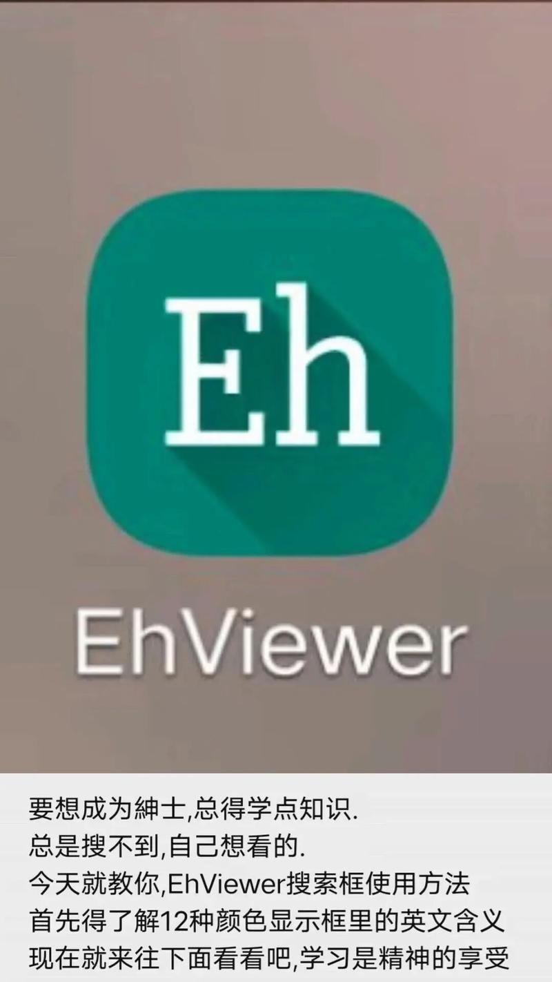 EHVIERWER下载1.7.26