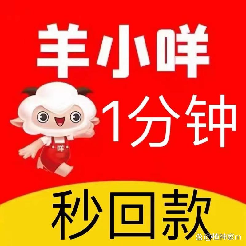 小绵羊(赚钱神器)app