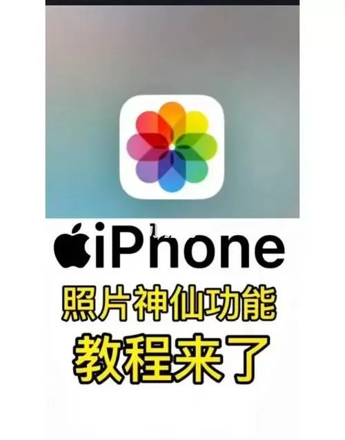 苹果手机怎么剪辑照片