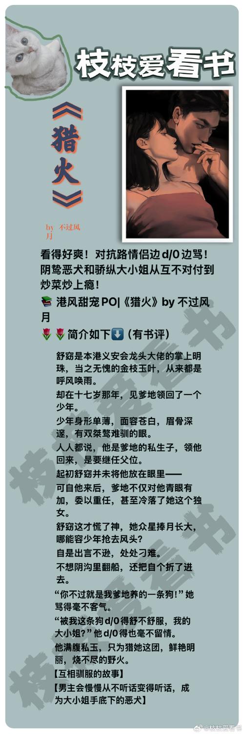 火文小说无限书币污版