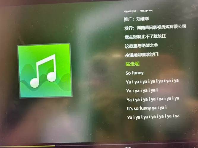 车载显示屏不显示歌词