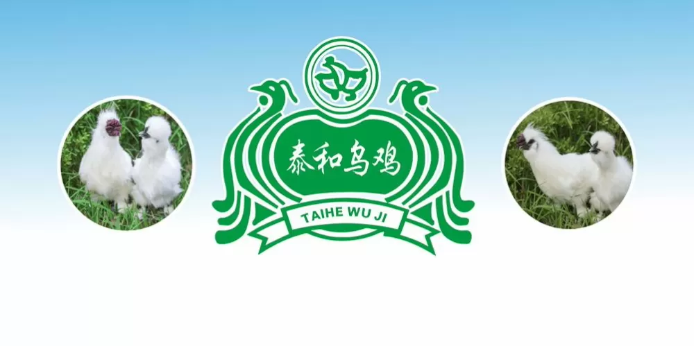 中国最大养鸡基地