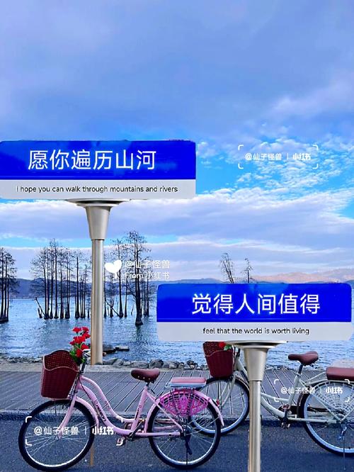 愿你历遍山河仍觉得人间值得加速永久