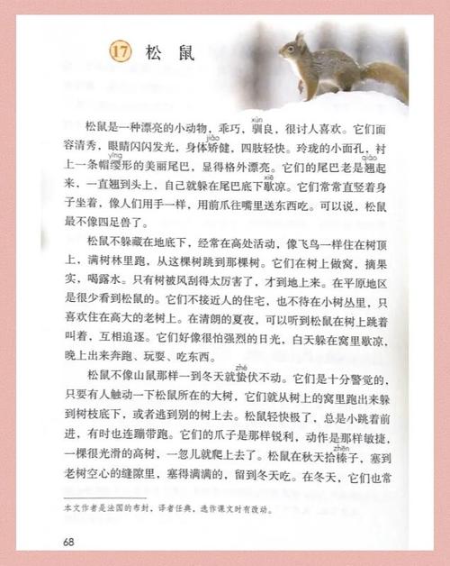 松鼠阅读网小说手