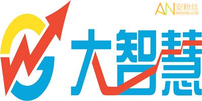 大智慧策略
