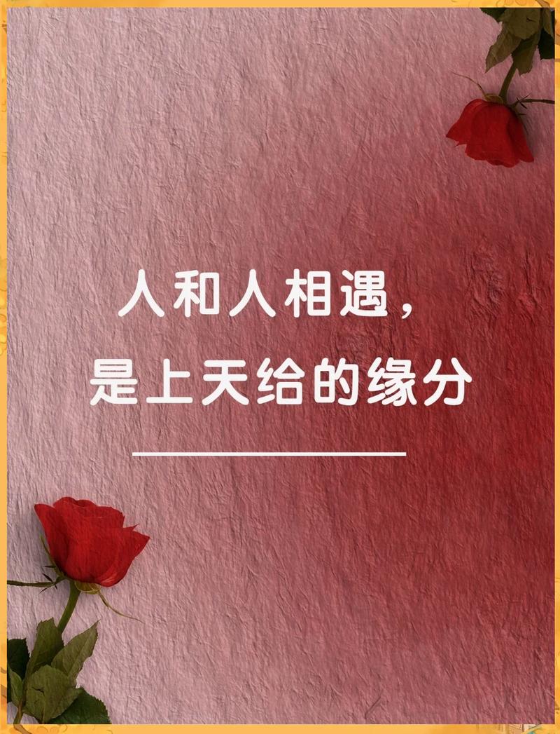相遇之缘